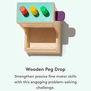 Wooden Peg Drop Toy - Multicolor